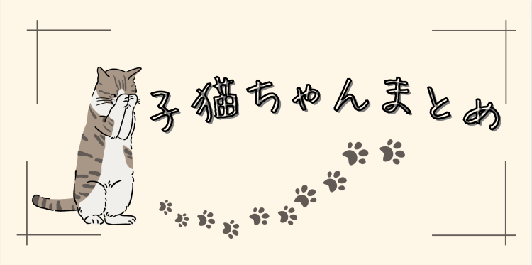 cook 今日なに作ろ？